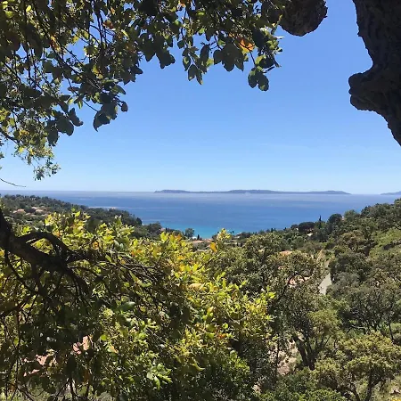Des Savoyards Le Rayol-Canadel-sur-Mer
